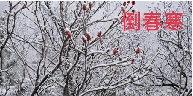 “春分不到雪不断，清明还寒要穿棉”，农谚预测年景，啥说法中央气象台四预警齐发气象台四预警齐发 乐视