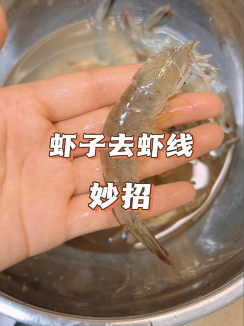 基围虾仁怎么剥虾头线状物是寄生虫吗怎么挤虾线和内脏 机器人