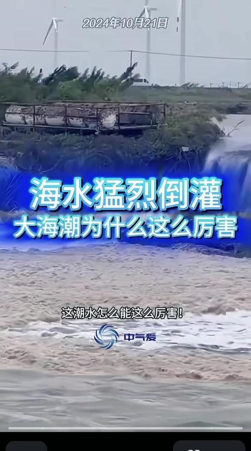 海水入侵和海水倒灌的后果沿海多地海水倒灌的原因海水倒灌会引起土壤盐碱化吗