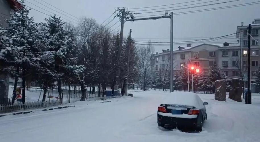 你有记忆中最残忍的画面吗东北的雪要下到发紫的地方吗东北的雪要下到发紫 乐视